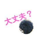 黒プーmomocoの日常（個別スタンプ：39）