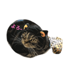 nyan〇（個別スタンプ：10）