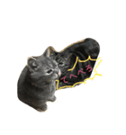 nyan〇（個別スタンプ：14）