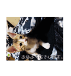 るぅとらぶ。(敬語)（個別スタンプ：1）