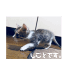 るぅとらぶ。(敬語)（個別スタンプ：2）