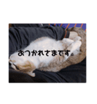 るぅとらぶ。(敬語)（個別スタンプ：3）