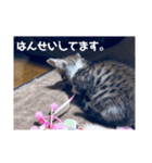 るぅとらぶ。(敬語)（個別スタンプ：5）