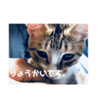 るぅとらぶ。(敬語)（個別スタンプ：6）