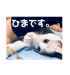 るぅとらぶ。(敬語)（個別スタンプ：7）
