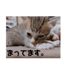 るぅとらぶ。(敬語)（個別スタンプ：8）