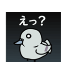 まるハト（個別スタンプ：7）