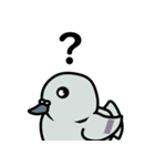 まるハト（個別スタンプ：16）