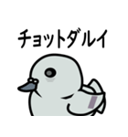 まるハト（個別スタンプ：20）