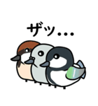 まるハト（個別スタンプ：39）