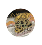 ！あにまるず！（個別スタンプ：4）