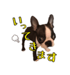 デコさんスタンプ（個別スタンプ：11）
