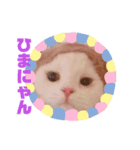 愛猫♡日常スタンプ（個別スタンプ：3）
