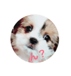 ふわりの気持ち（個別スタンプ：2）