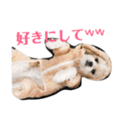 ふわりの気持ち（個別スタンプ：3）