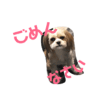 ふわりの気持ち（個別スタンプ：19）