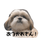 ふわりの気持ち（個別スタンプ：22）