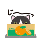 ねこだんご 1（個別スタンプ：18）