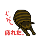 いつもの猫。（個別スタンプ：12）