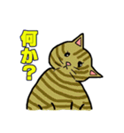 いつもの猫。（個別スタンプ：25）