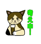 いつもの猫。（個別スタンプ：26）