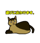 いつもの猫。（個別スタンプ：31）