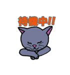 いつもの猫。（個別スタンプ：38）