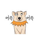 Emexdog！ (Korean)（個別スタンプ：20）