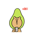 たねくまの意外とファンキーな一日（個別スタンプ：20）