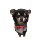 FRRM❤（個別スタンプ：1）