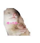 FRRM❤（個別スタンプ：2）