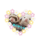 FRRM❤（個別スタンプ：3）