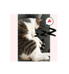 ムニちゃん日記③（個別スタンプ：3）
