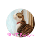 ムニちゃん日記③（個別スタンプ：7）