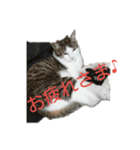 ムニちゃん日記③（個別スタンプ：12）