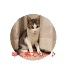 ムニちゃん日記③（個別スタンプ：16）