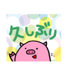 ぴぐの日常スタンプ（個別スタンプ：4）