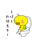 ヒヨ丸とチキ松（個別スタンプ：36）