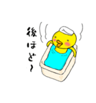 ヒヨ丸とチキ松（個別スタンプ：37）