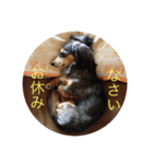 トニーワン（個別スタンプ：6）