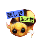 リアルラック（個別スタンプ：2）