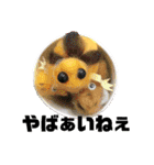 リアルラック（個別スタンプ：13）
