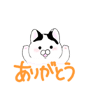 かつらねこたん（個別スタンプ：2）