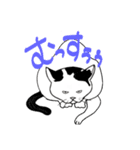 かつらねこたん（個別スタンプ：3）