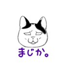 かつらねこたん（個別スタンプ：5）