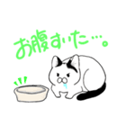 かつらねこたん（個別スタンプ：6）
