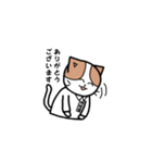 ミッケくん1（先端分析化学研究室）（個別スタンプ：12）