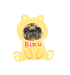 リクさんスタンプ（個別スタンプ：1）