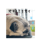 リクさんスタンプ（個別スタンプ：4）