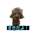 1日の言葉（個別スタンプ：12）